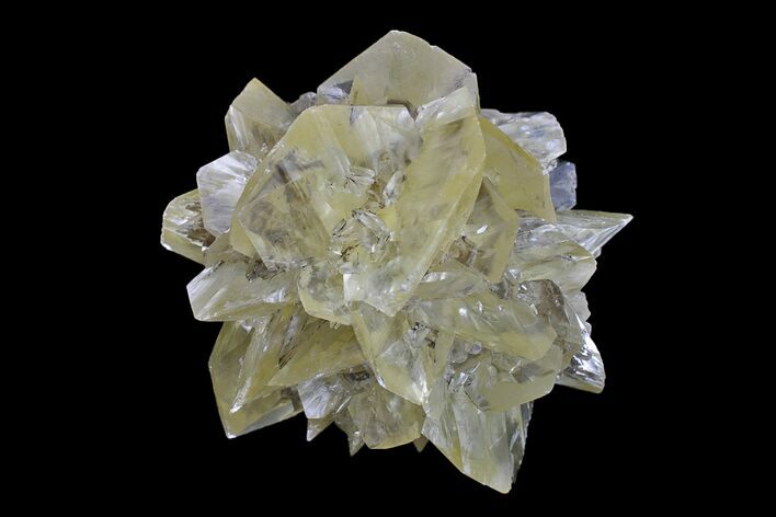 Twinned Selenite Crystals (Fluorescent) - Red River Floodway #154406